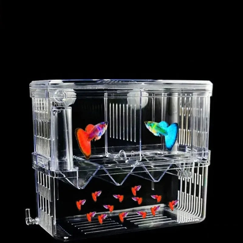 Acrylic Breeder Box for Fish and Shrimp