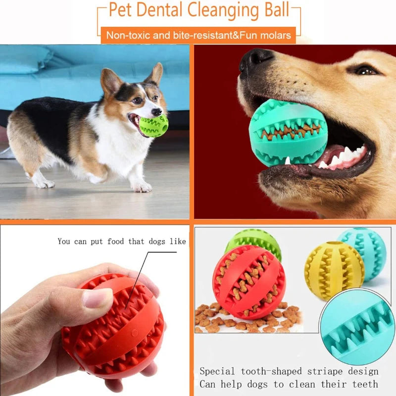 Interactive Dog Toy Rubber Balls