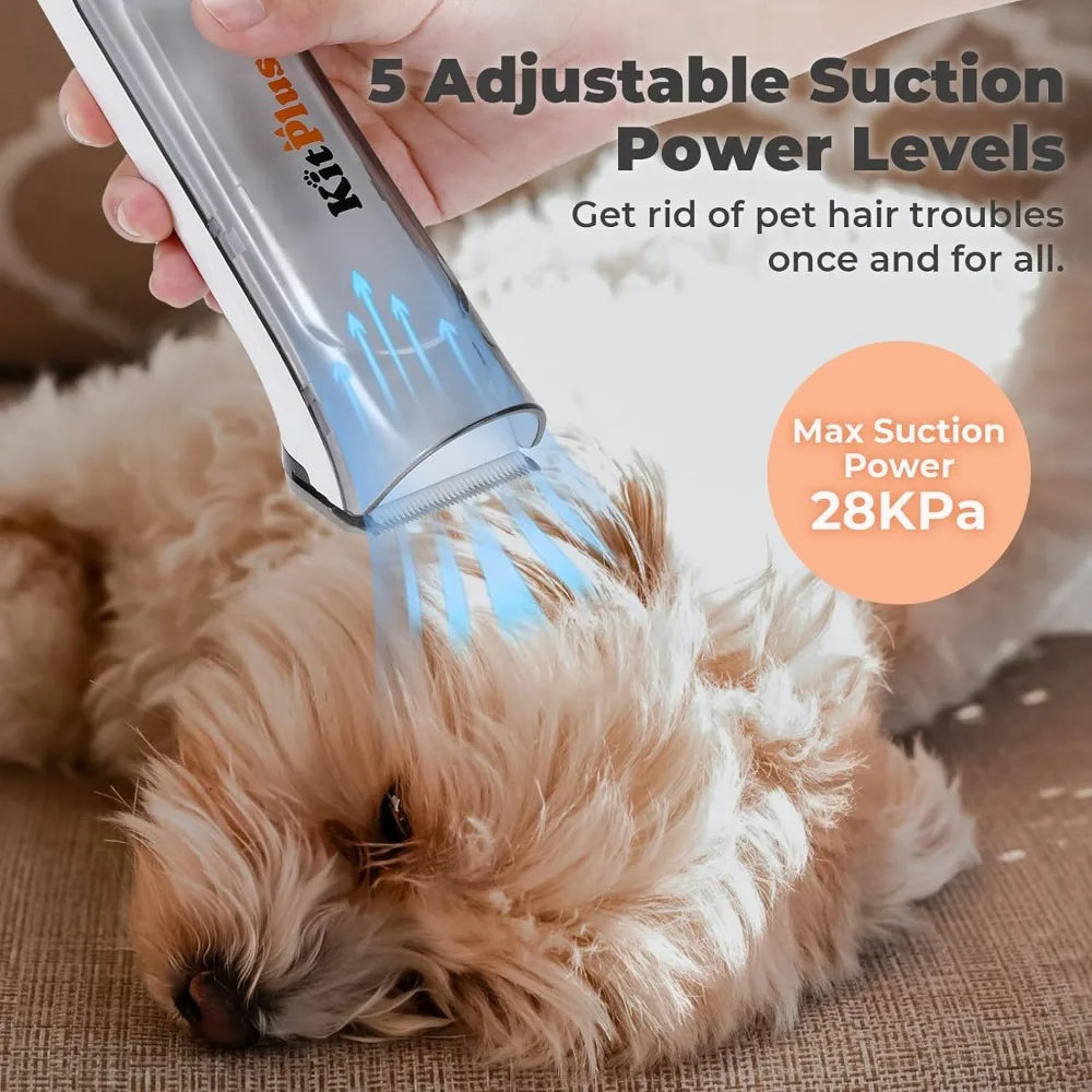 Blow Dryer 3-in-1 Pet Hair Vacuum Groomer Kit