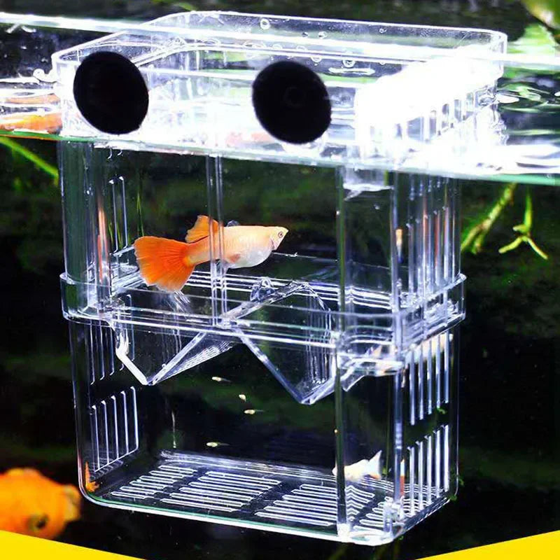 Acrylic Breeder Box for Fish and Shrimp