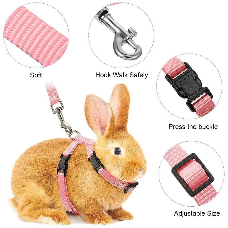 Adjustable Nylon Low Price Rabbit Cat Harness and Leash Set