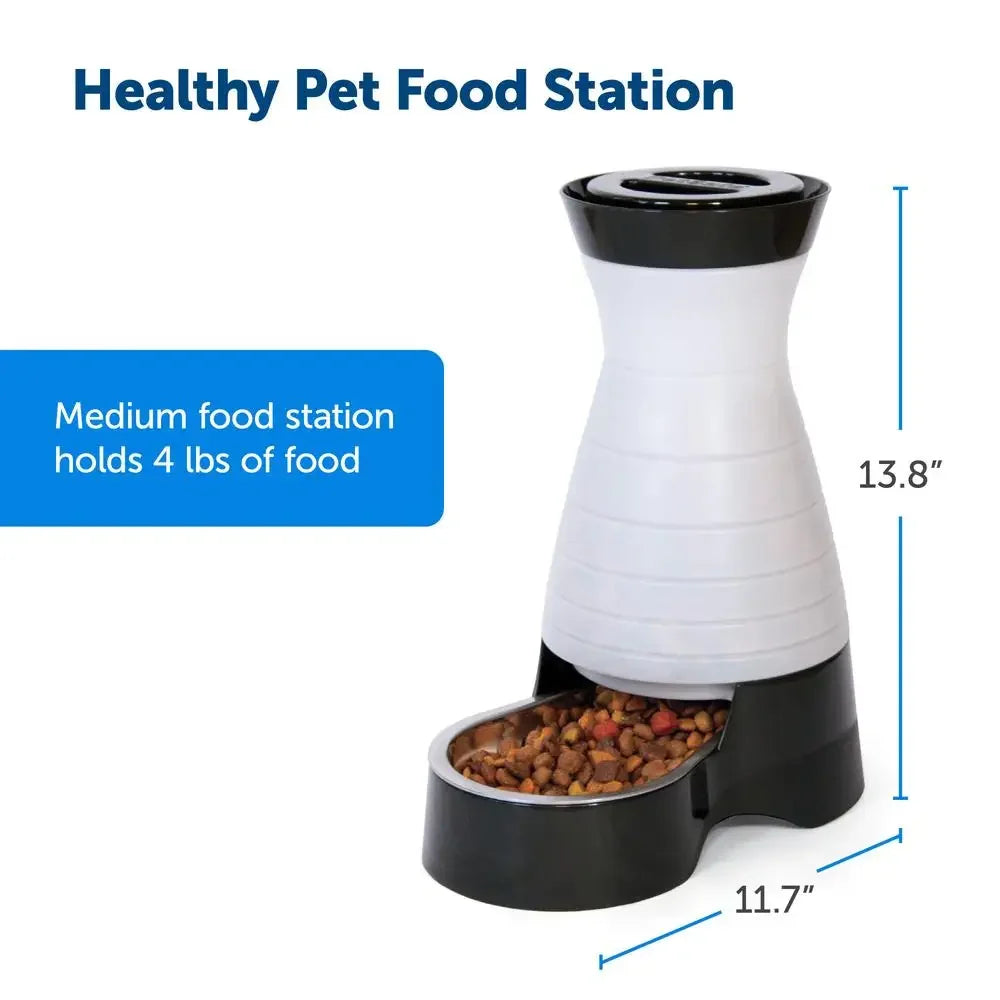 Automatic Pet Food Dispenser