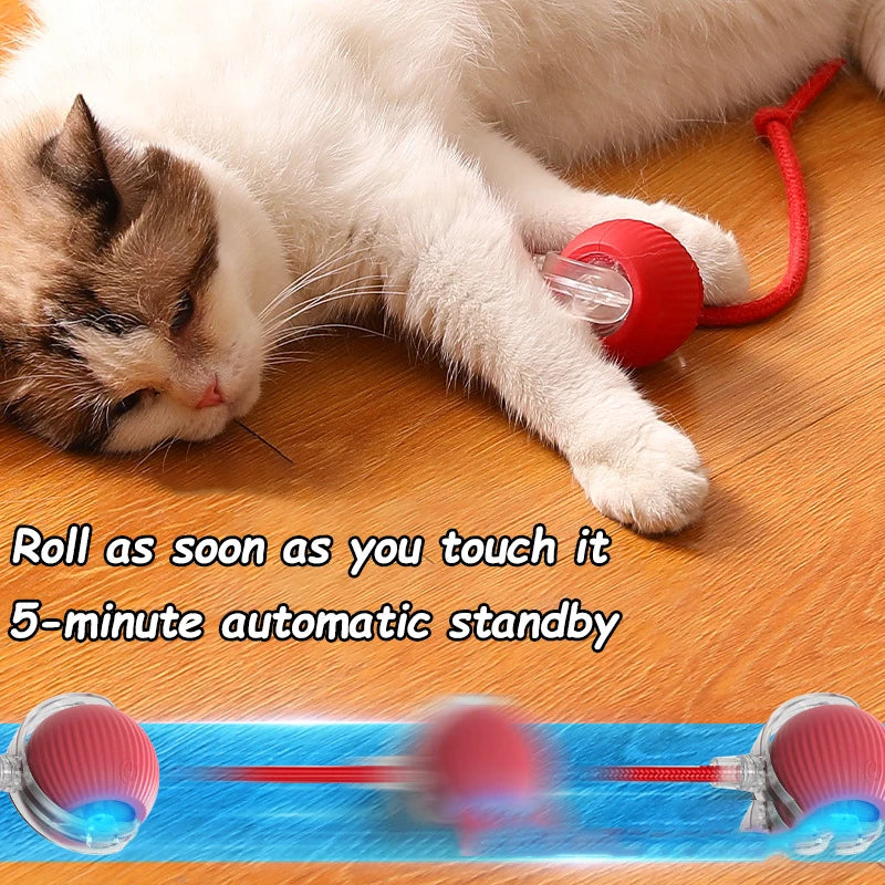 Automatic Interactive Pet Toy Rolling Ball