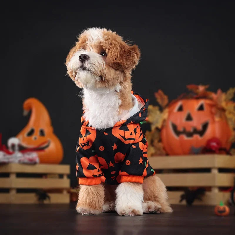 Pumpkin Hoodie Halloween Party Pet Clothing