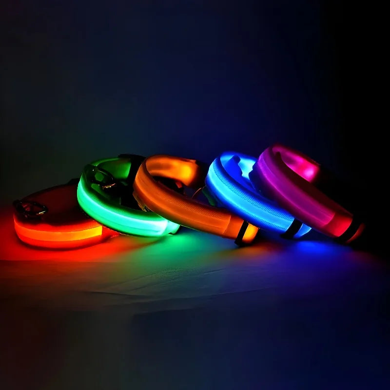 Flashing Glow In The Dark Dog Collar