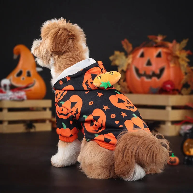 Pumpkin Hoodie Halloween Party Pet Clothing