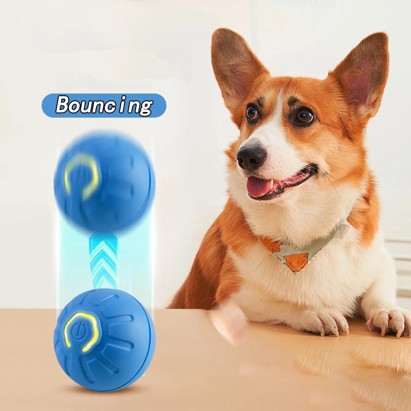 Interactive Bouncing Smart Ball Toys