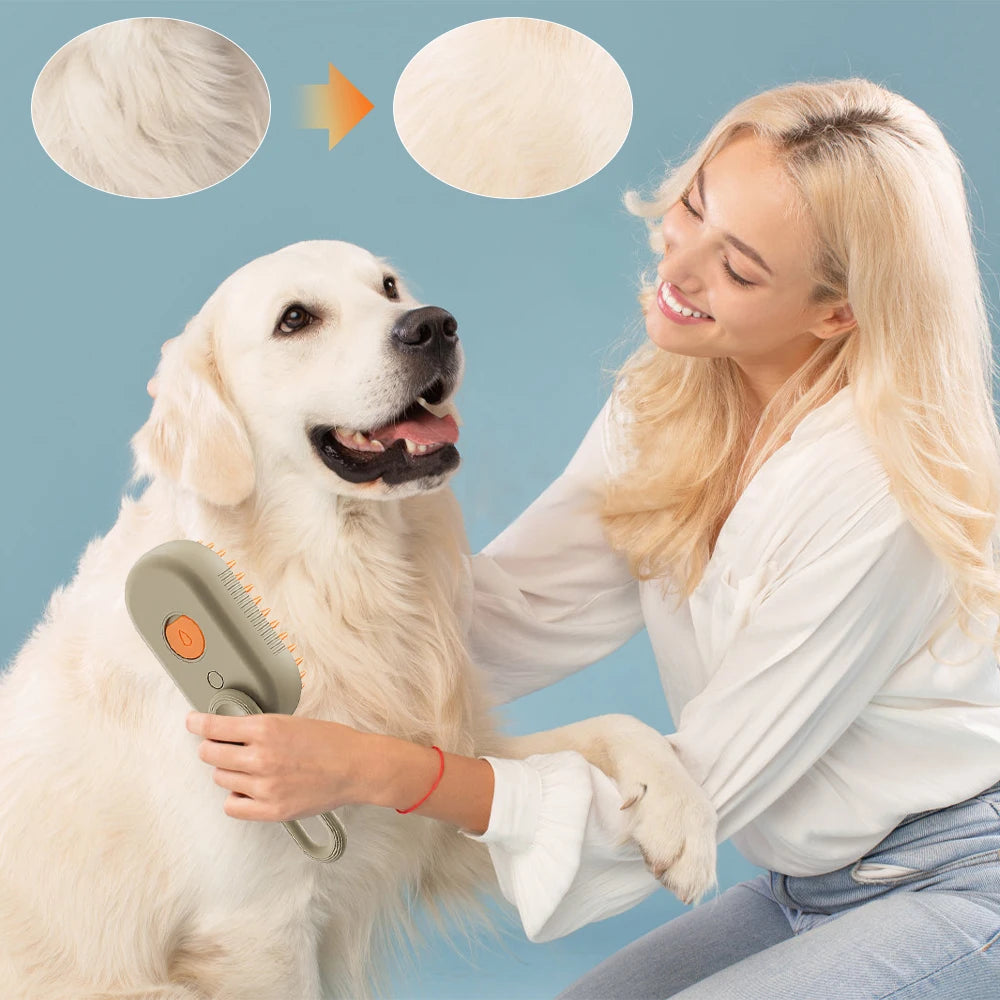 Electric Spray Pet Steam Brush