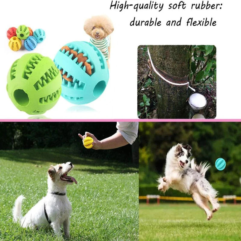 Interactive Dog Toy Rubber Balls