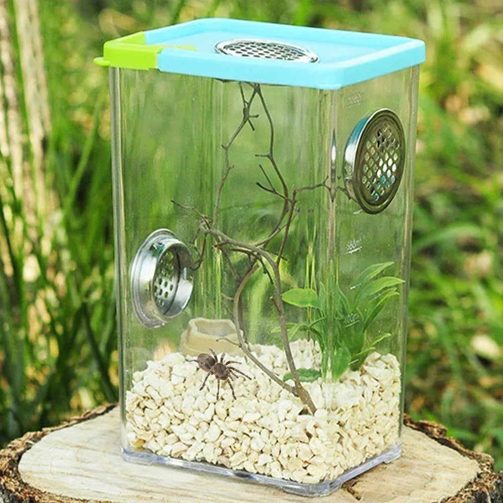 Acrylic Reptile Breeding Clear Box