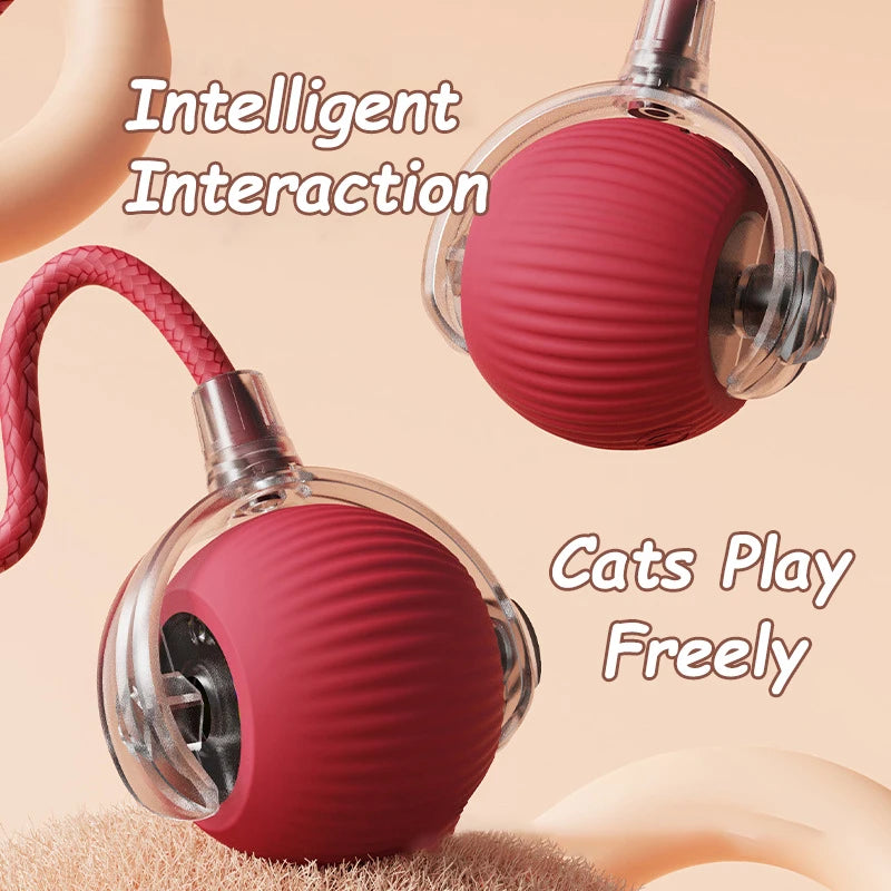 Automatic Interactive Pet Toy Rolling Ball