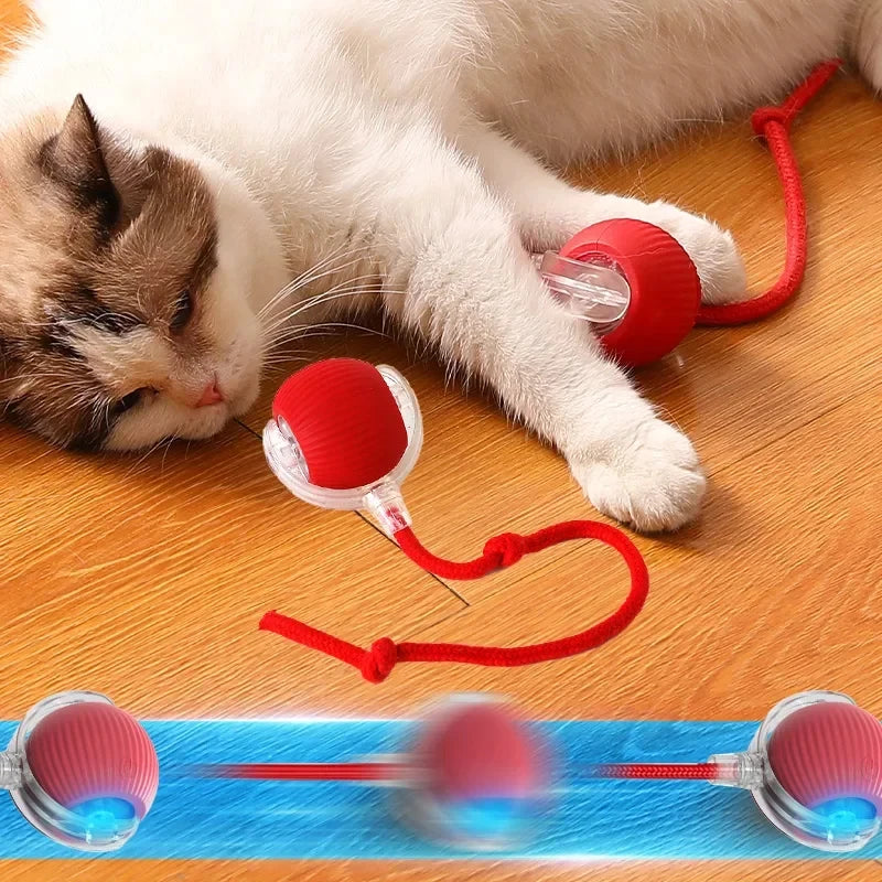 Cat Teasing Rolling Ball