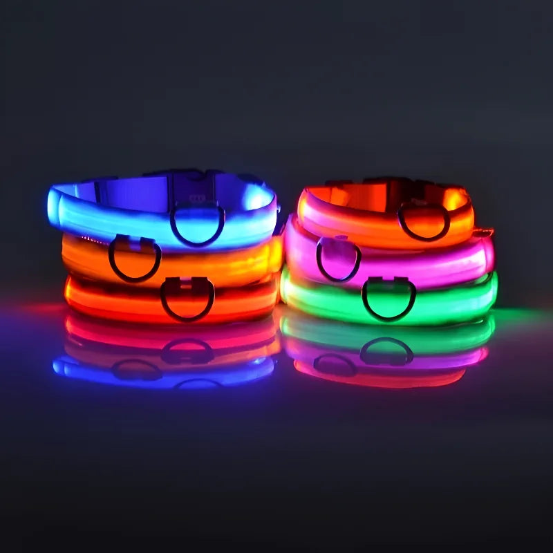 Flashing Glow In The Dark Dog Collar