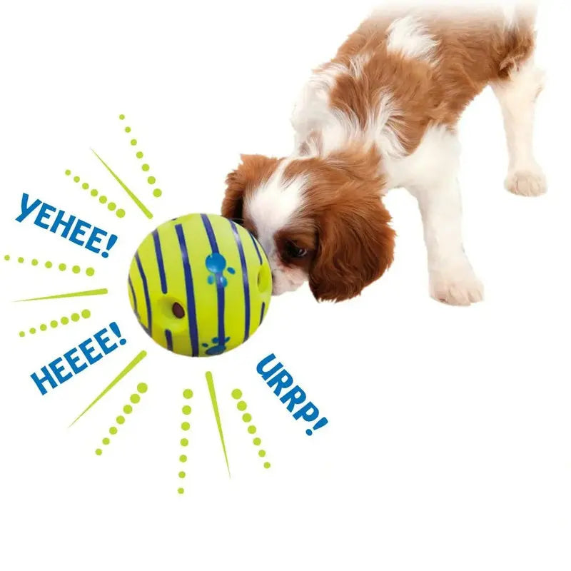 Interactive Dog Bite & Chew Educational Toy