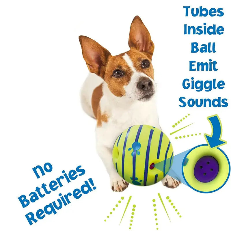 Interactive Dog Bite & Chew Educational Toy