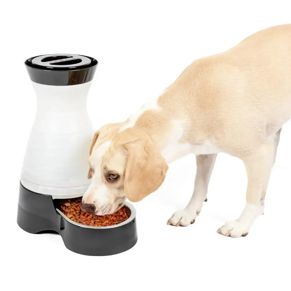 Automatic Pet Food Dispenser