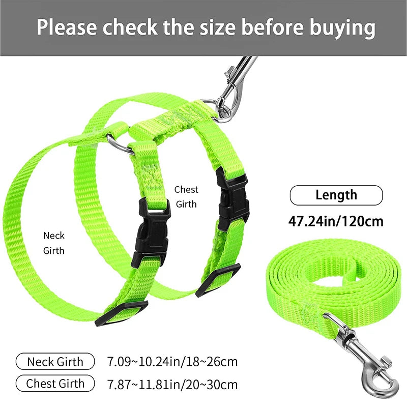 Adjustable Nylon Low Price Rabbit Cat Harness and Leash Set