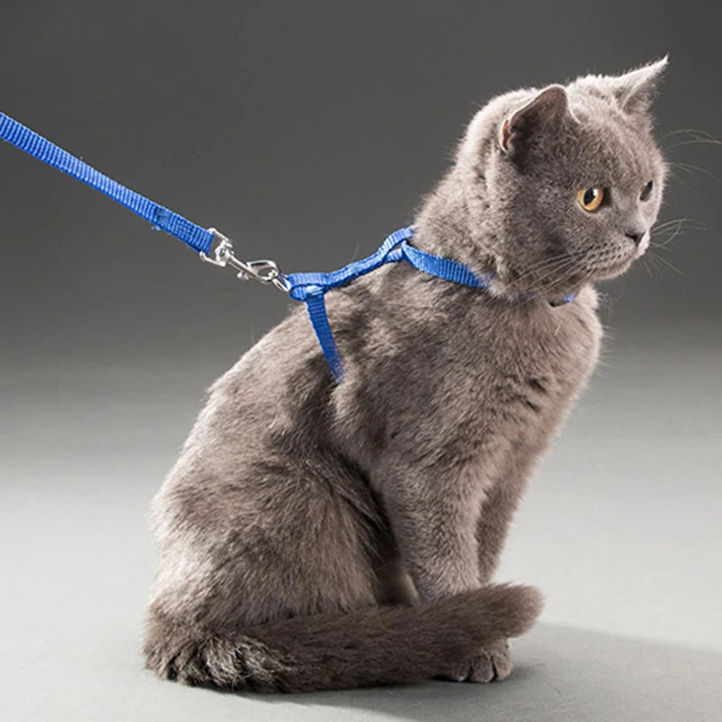 Adjustable Nylon Low Price Rabbit Cat Harness and Leash Set