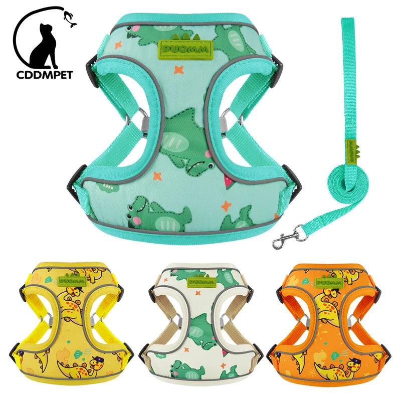 CDDMPET Dog Harness and Leash Set