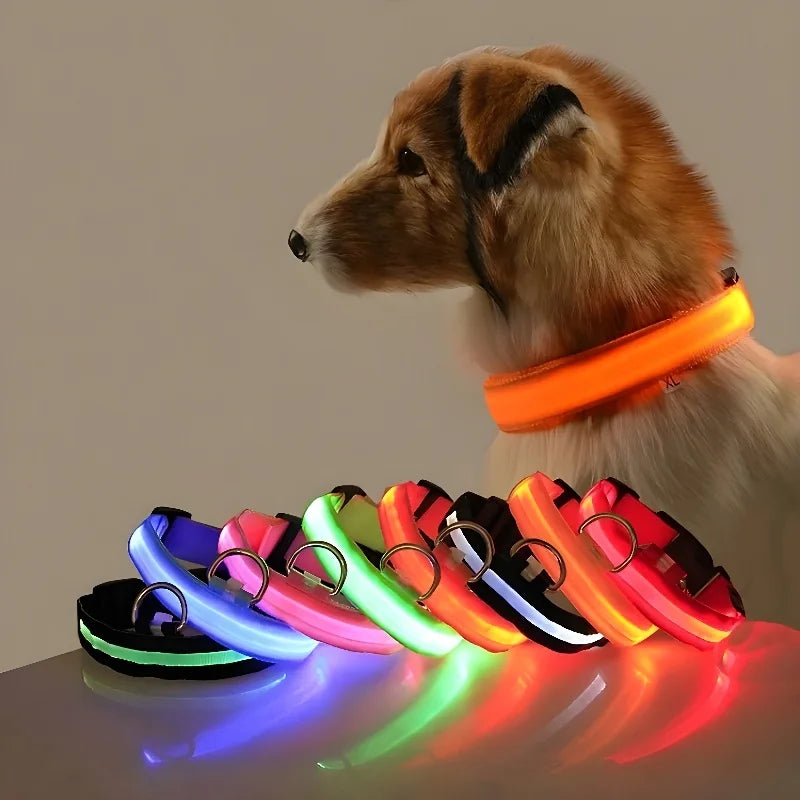 Flashing Glow In The Dark Dog Collar