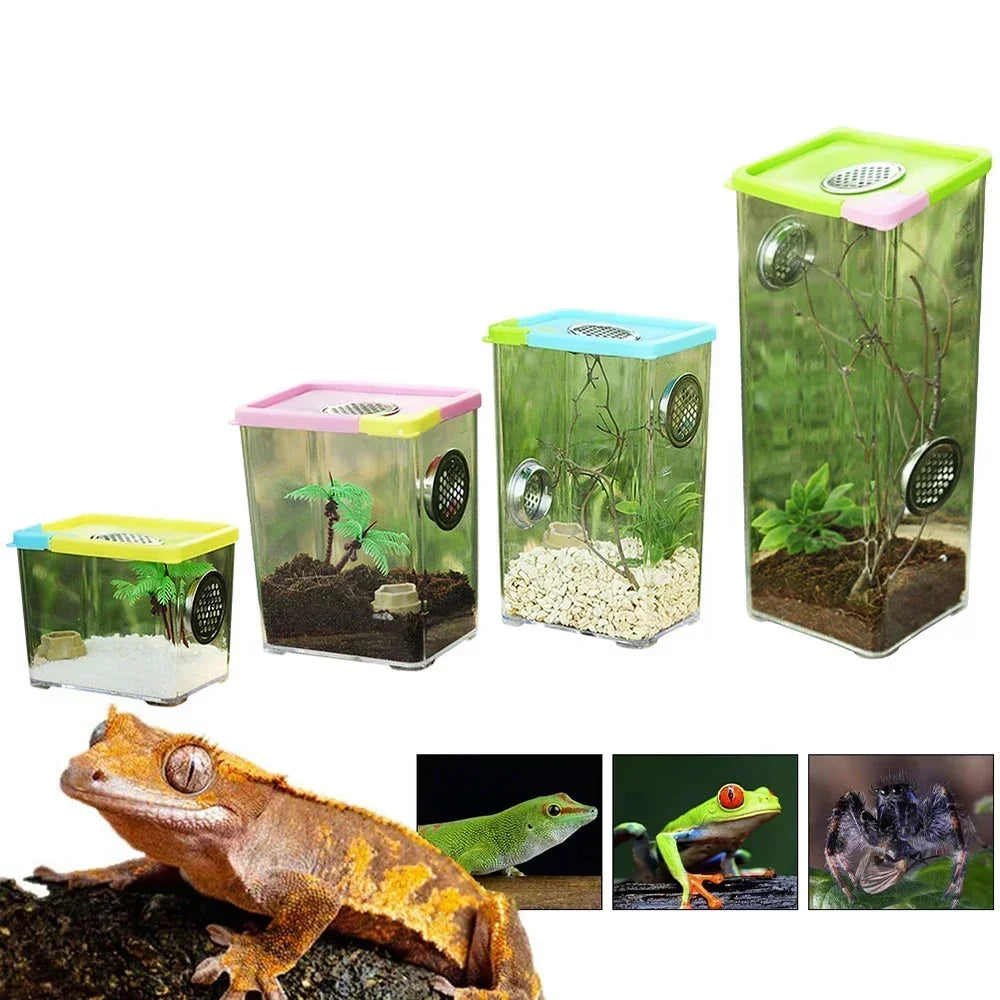 Acrylic Reptile Breeding Clear Box