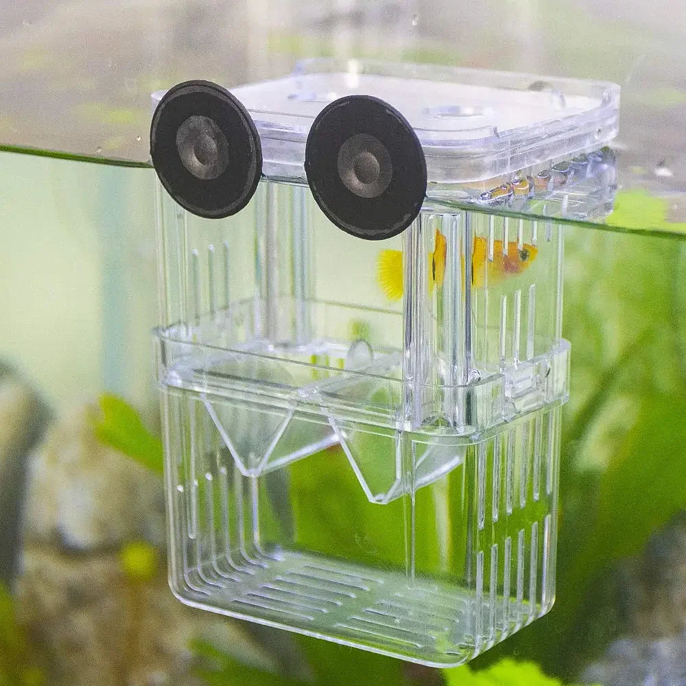 Aquarium Fish Breeder Box