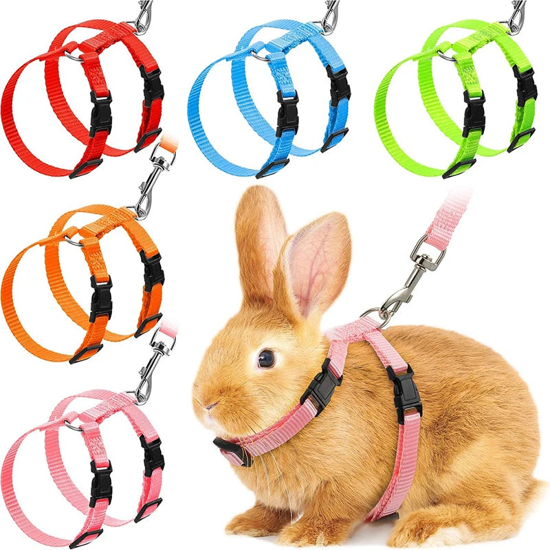 Adjustable Nylon Low Price Rabbit Cat Harness and Leash Set